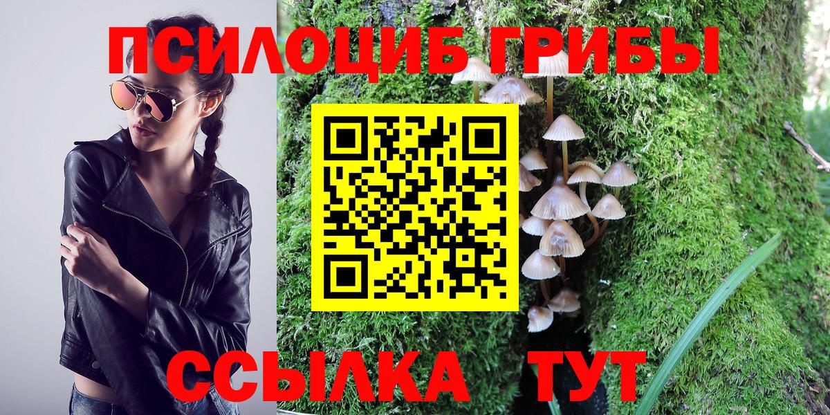 Галлюциногенные грибы GOLDEN TEACHER Сокол